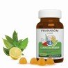 PRANAROM AROMAFORCE JUNIOR 60 GOMINOLAS